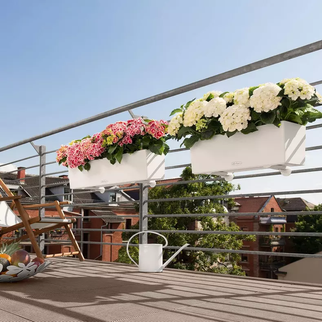 Вазон Lechuza Balconera Color 80 Бежевый - Фото 8 Вазон Lechuza Balconera Color 80 Бежевый - изображение 8