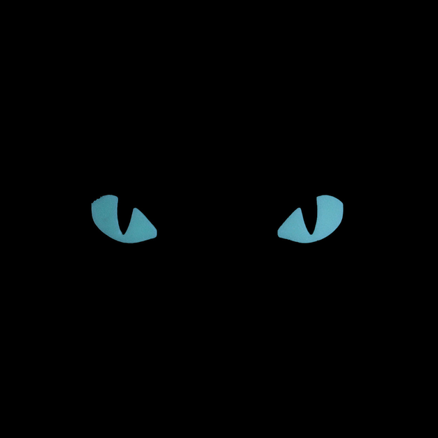 Тактичний шеврон "Котячі очі" люмінесцентний чорний - зображення 2
