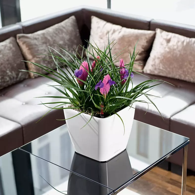 Вазон Lechuza Quadro Premium LS 21 Червоний&nbsp; - зображення 6