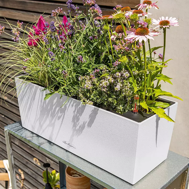 Вазон Lechuza Balconera Stone 50 Бежевый - изображение 9