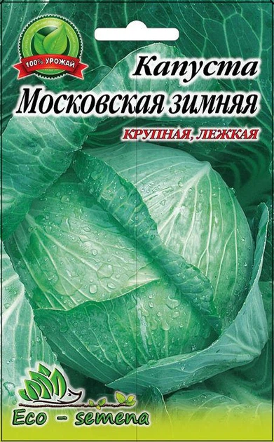 Семена капуста Московская зимняя для хранения 1 г - Фото 1 Семена капуста Московская зимняя для хранения 1 г - изображение 1