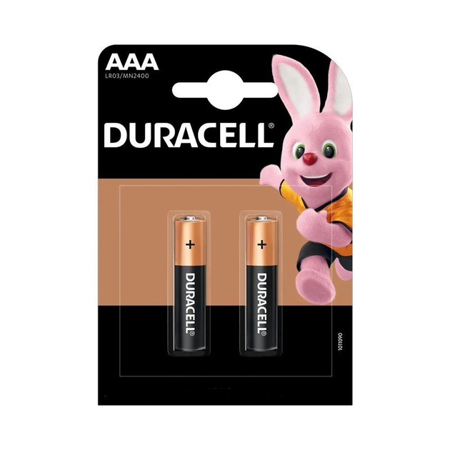 Лужні батарейки Duracell LR03 AAA 1.5V 2 шт. – фото, відгуки ...