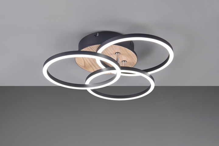 Люстра LED светодиодная потолочная Reality с пультом управления CIRCLE 27W 3200lm 2700 - 6000K (R62823135) на кухню, для спальни, для гостиной - изображение 3