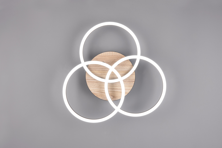 Люстра LED светодиодная потолочная Reality с пультом управления CIRCLE 27W 3200lm 2700 - 6000K (R62823135) на кухню, для спальни, для гостиной - изображение 10