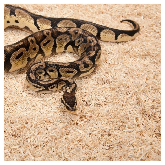Субстрат з тополі Repti-Zoo Aspen Snake Bedding 2,4 л (SB001) для змій та копаючих рептилій - зображення 4