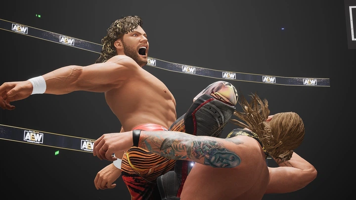 Ключ активации AEW: Fight Forever для Xbox One/Series S/X - Фото 7 Ключ активации AEW: Fight Forever для Xbox One/Series S/X - изображение 7