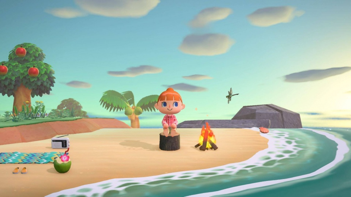 Гра Nintendo Switch Animal Crossing: New Horizons (Картридж) (45496425449) - зображення 4