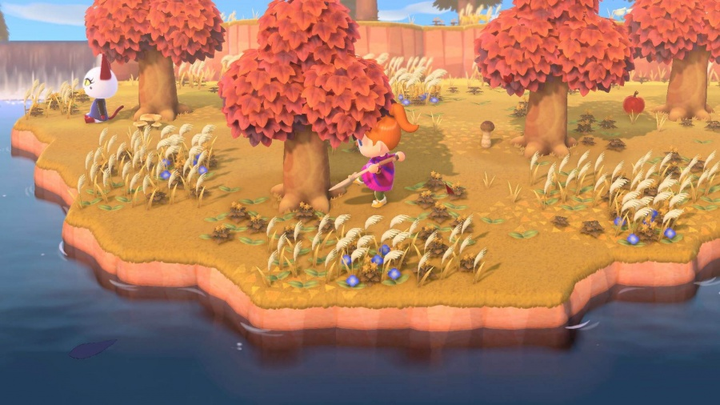 Гра Nintendo Switch Animal Crossing: New Horizons (Картридж) (45496425449) - зображення 9
