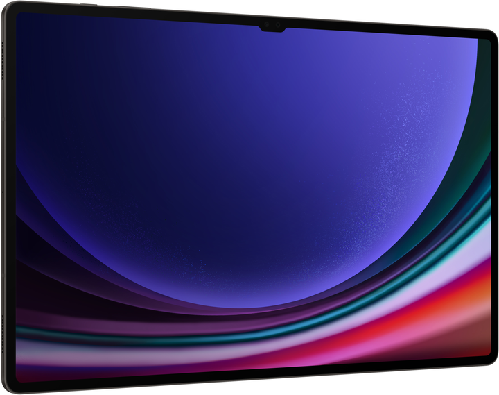Tablet Samsung Galaxy Tab S9 Ultra 5G 16/1TB Grafitowy (SM-X916BZAIEUE) - obraz 4