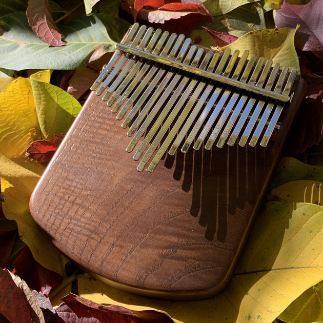 Калімба На 21 Ноту Kalimba Ukraine Темна – фото, відгуки ...