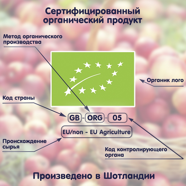 Фруктове органічне пюре Fleur Alpine Яблуко, Банан, Чорна смородина і Чорниця 120 г (5024688001093) - зображення 10