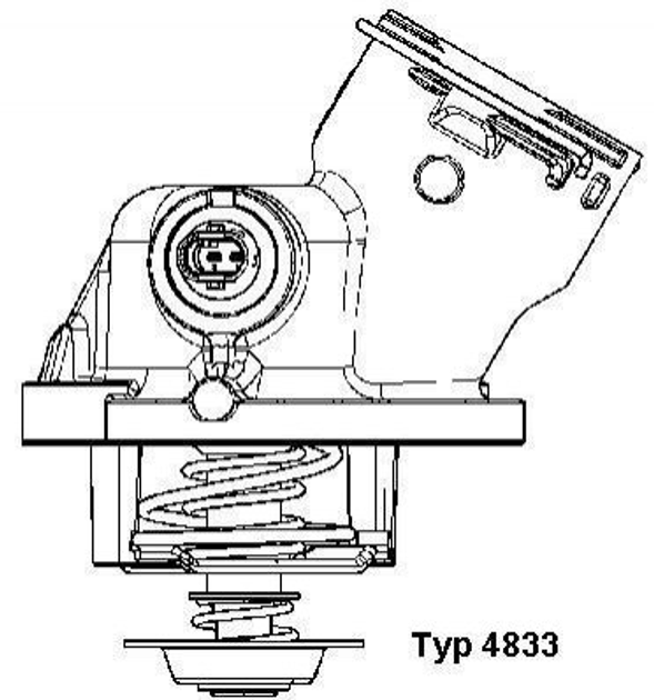 Термостат WAHLER 4833.100D WAHLER (4833100D) - зображення 1