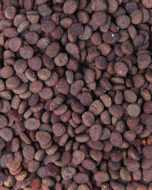 Sucha karma dla kotów Carnilove True Fresh Cat Ryba 4.8 kg (8595602561438) - obraz 5