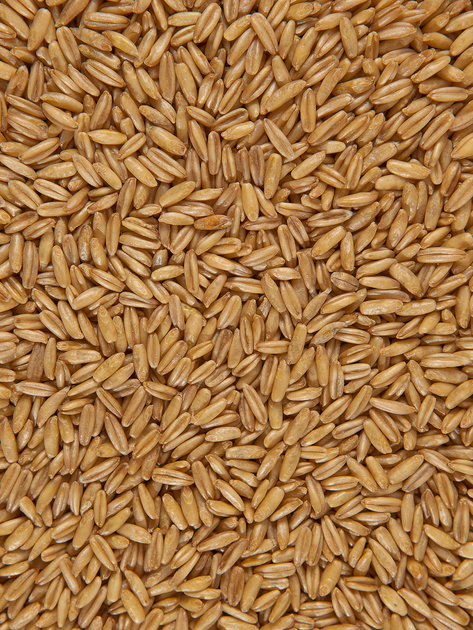 Овес голозерный натуральный (зерно) Здорово 1 кг от продавца: Honest ...