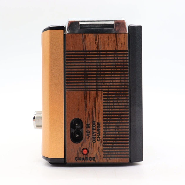 FM-Радіо GOLON RX-BT087, Золото - зображення 8