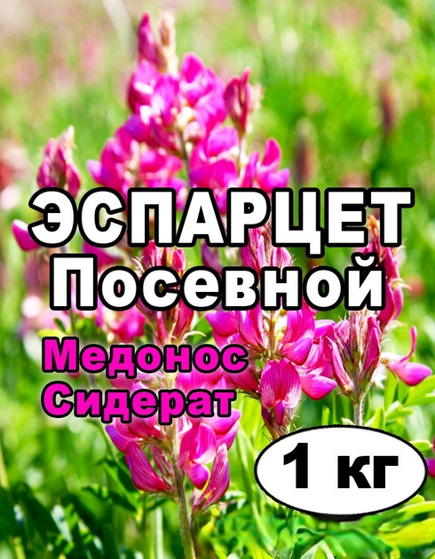 Эспарцет Песчаный (0,5кг) Гавриш: описание, фото, цены, купить в Белгороде | Кругозор