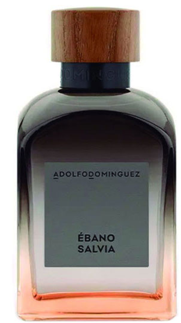 Woda perfumowana męska Adolfo Dominguez Ebano Salvia Eau De Perfume Spray 120 ml (8410190628892) - obraz 1