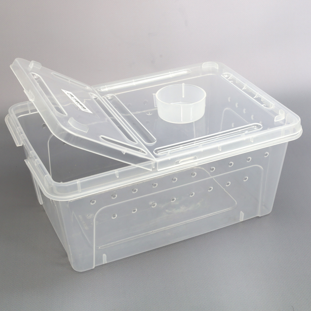 Тераріум-фаунаріум Terrario 26x18x13 см (tr-box-m) - зображення 5