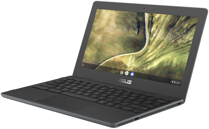 Ноутбук 11.6" Asus C204MA Intel Celeron N4020 RAM 4GB eMMC 64GB 12час батарея Chrome OS - зображення 4
