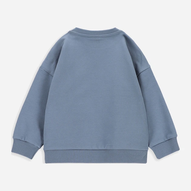 Детский свитшот Coccodrillo Grunge Space Boy Kids ZC3132103GBK-019 98 см Серый (5904986225325) - Фото 2 Детский свитшот Coccodrillo Grunge Space Boy Kids ZC3132103GBK-019 98 см Серый (5904986225325) - изображение 2