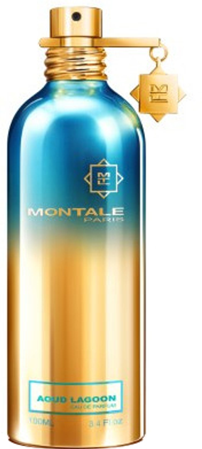 Парфумована вода унісекс Montale Aoud Lagoon 100 мл (3760260454223) - зображення 1