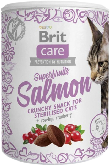 Ласощі для котів Brit Care Cat Snack Superfruits Salmon 100 g (8595602521449) - зображення 1