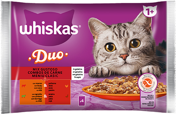 Mokra karma dla dorosłych kotów Whiskas saszetka galaretka duo mix 4x85 g (4770608262747) - obraz 1