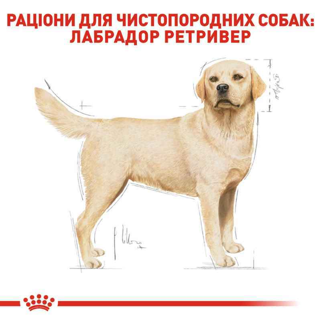 Сухой корм Royal Canin (Роял Канин) Labrador Retriever Adult для ...