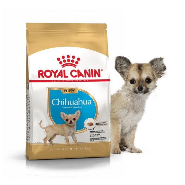 Сухий корм Royal Canin (Роял Канін) Chihuahua Puppy для цуценят породи ...