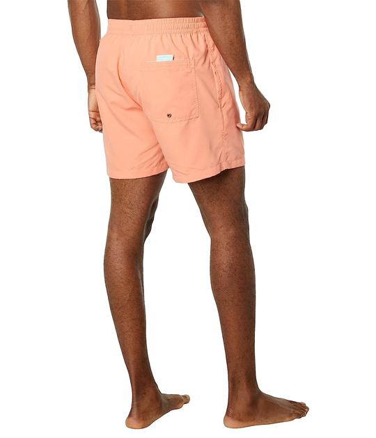 Шорты для плавания Quiksilver Everyday Vert 16" Volley Fresh Salmon, XL ...