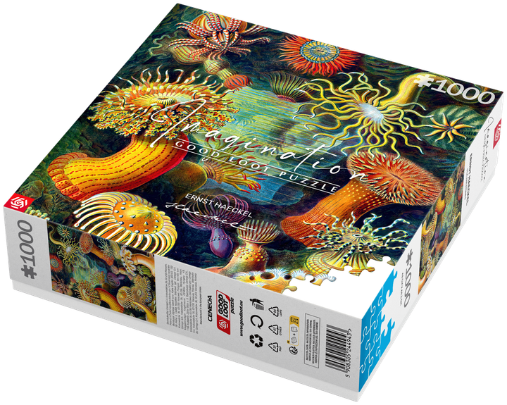 Puzzle Good Loot Imagination Ernst Haeckel Stworzenia morskie 1000 elementów (5908305244943) - obraz 4
