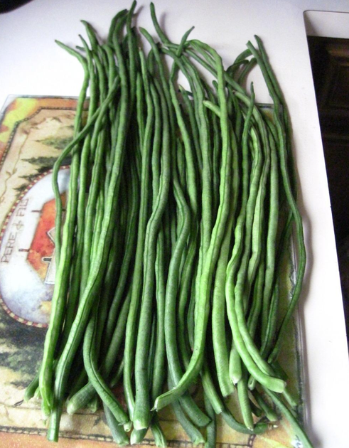 Насіння Вігна Шарлотта, 10 шт (GL Seeds) - зображення 2