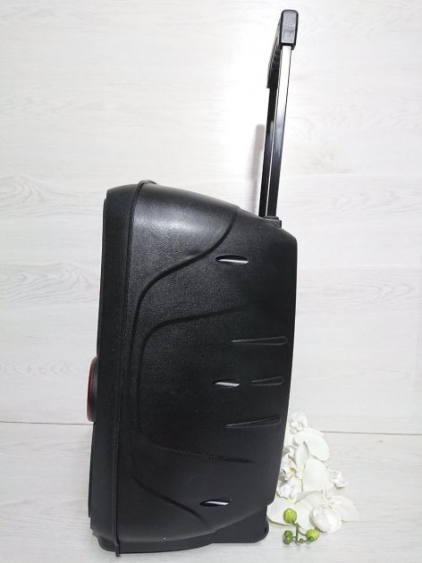 Портативна колонка з RGB підсвічуванням та караоке мікрофоном UKC 8805HP Bluetooth 2х8" 18Втс пультом - Фото 5 Портативна колонка з RGB підсвічуванням та караоке мікрофоном UKC 8805HP Bluetooth 2х8" 18Втс пультом - зображення 5