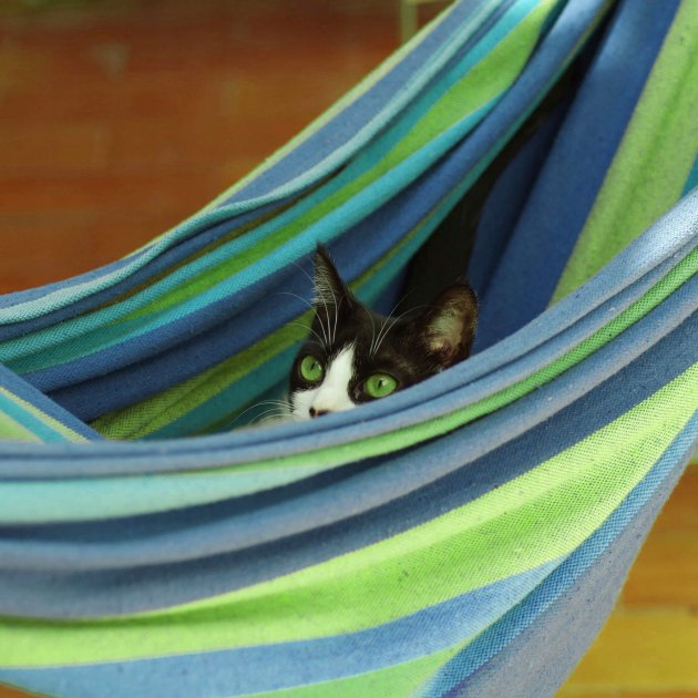 Гамак підвісний для відпочинку тканинний одномісний безкаркасний Mexikan Hammock гавайський для дачі, будинку і саду Синій - Фото 7 Гамак підвісний для відпочинку тканинний одномісний безкаркасний Mexikan Hammock гавайський для дачі, будинку і саду Синій - зображення 7