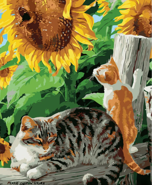 Картина по номерам Strateg Котики под подсолнухами 40х50см (GS1053 ...