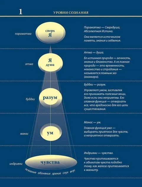 Уровни сознания. Структура человеческой личности. - Александр Хакимов (9789662488067) - изображение 8