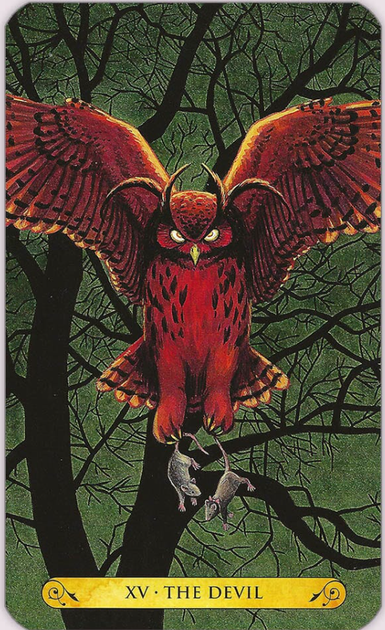 Карти Таро сов - Tarot of the Owls - зображення 4
