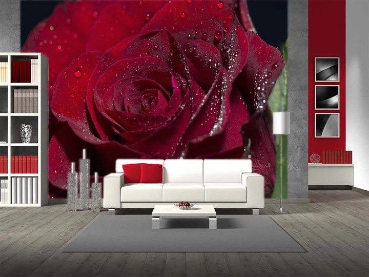 3D Фото Обои PHOTODECOR "Бордовая роза с каплями росы" - изображение 3