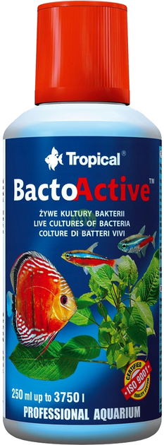 Środek przygotowujący podłoże biologiczne Tropical Bacto Active 250 ml (5900469343050) - obraz 1