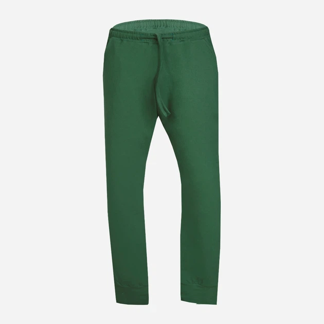 Spodnie dresowe męskie DKaren Pants Justin 2XL Zielone (5903251464650) - obraz 3