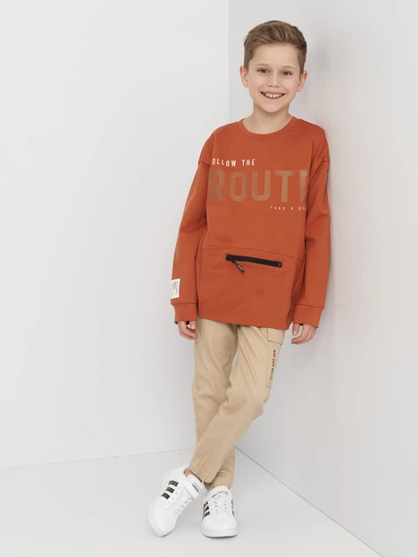 Подростковый свитшот Coccodrillo Craft Sport Junior ZC2132101CRJ-018 146 см Коричневый (5904706039003) - изображение 3