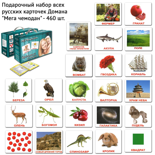 Набор ламинированных карточек Домана “МЕГАчемодан Вундеркинд с пелёнок ...