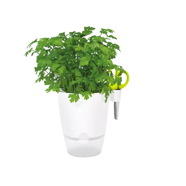 Вазон ELHO Brussels Herbs All in 1 круглий білий пластиковий 13х21,5 см (2746961) - зображення 2
