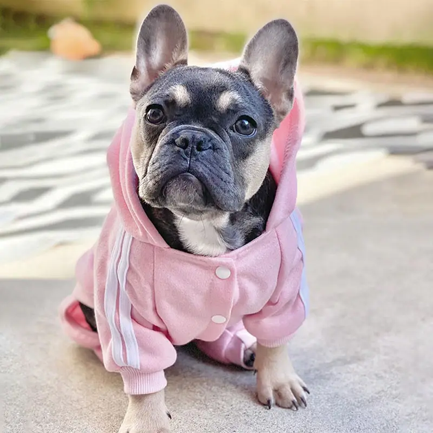Костюм спортивный для собак Adidog Розовый L - Фото 6 Костюм спортивный для собак Adidog Розовый L - изображение 6