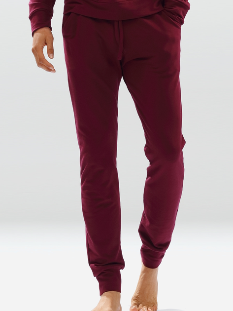 Спортивні штани чоловічі DKaren Pants Justin M Maroon (5903251464582) - зображення 1