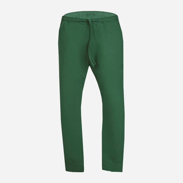 Spodnie dresowe męskie DKaren Pants Justin L Zielone (5903251464636) - obraz 3