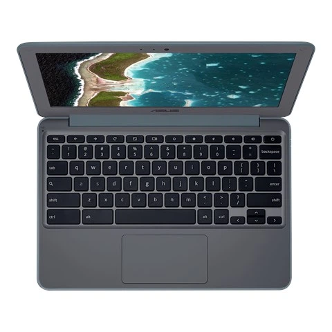 Нетбук Asus Chromebook C202SA 11.6