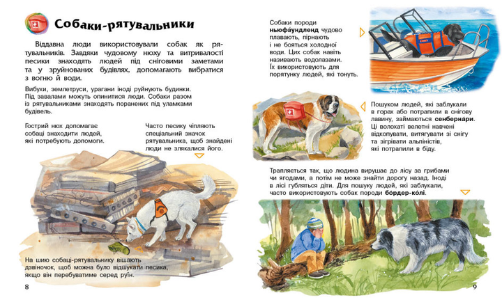 Енциклопедія дошкільника. Собаки - Каспарова Юлія Вадимівна (9786170976819) - изображение 4
