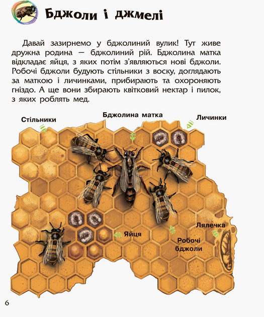 Енциклопедія дошкільника. Комахи - Каспарова Юлія Вадимівна (9786170937292) - Фото 4 Енциклопедія дошкільника. Комахи - Каспарова Юлія Вадимівна (9786170937292) - изображение 4