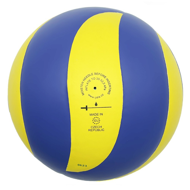 Мяч волейбольный тренировочный Gala Mistral 10 NE-GALA-M10 – фото ...